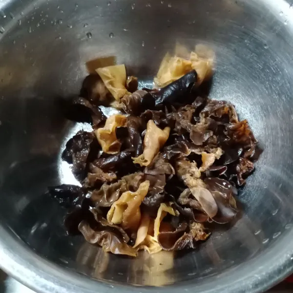 Iris-iris jamur kuping.