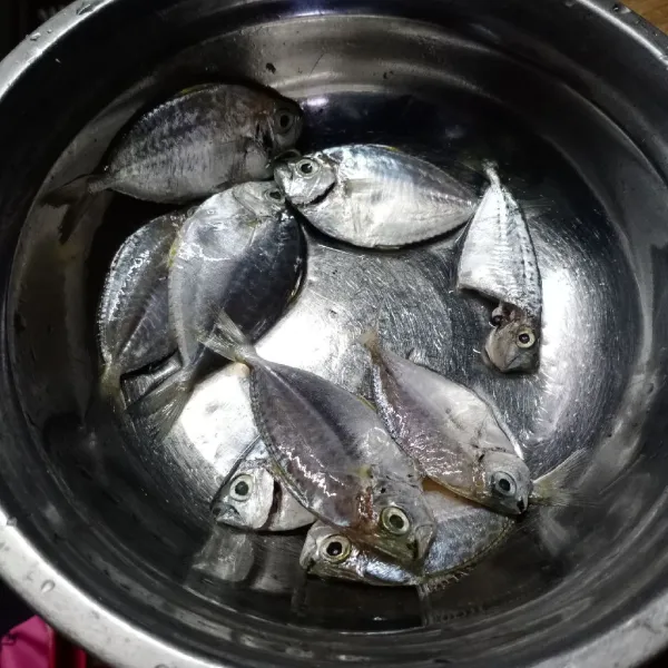 Siangi ikan bete kemudian cuci bersih.