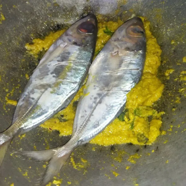 Masukkan ikan kembung, aduk rata, angkat.