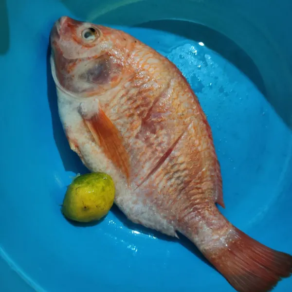 Cuci bersih ikan nila, beri perasan jeruk nipis. Diamkan selama 10 menit, cuci kembali hingga bersih, tiriskan.