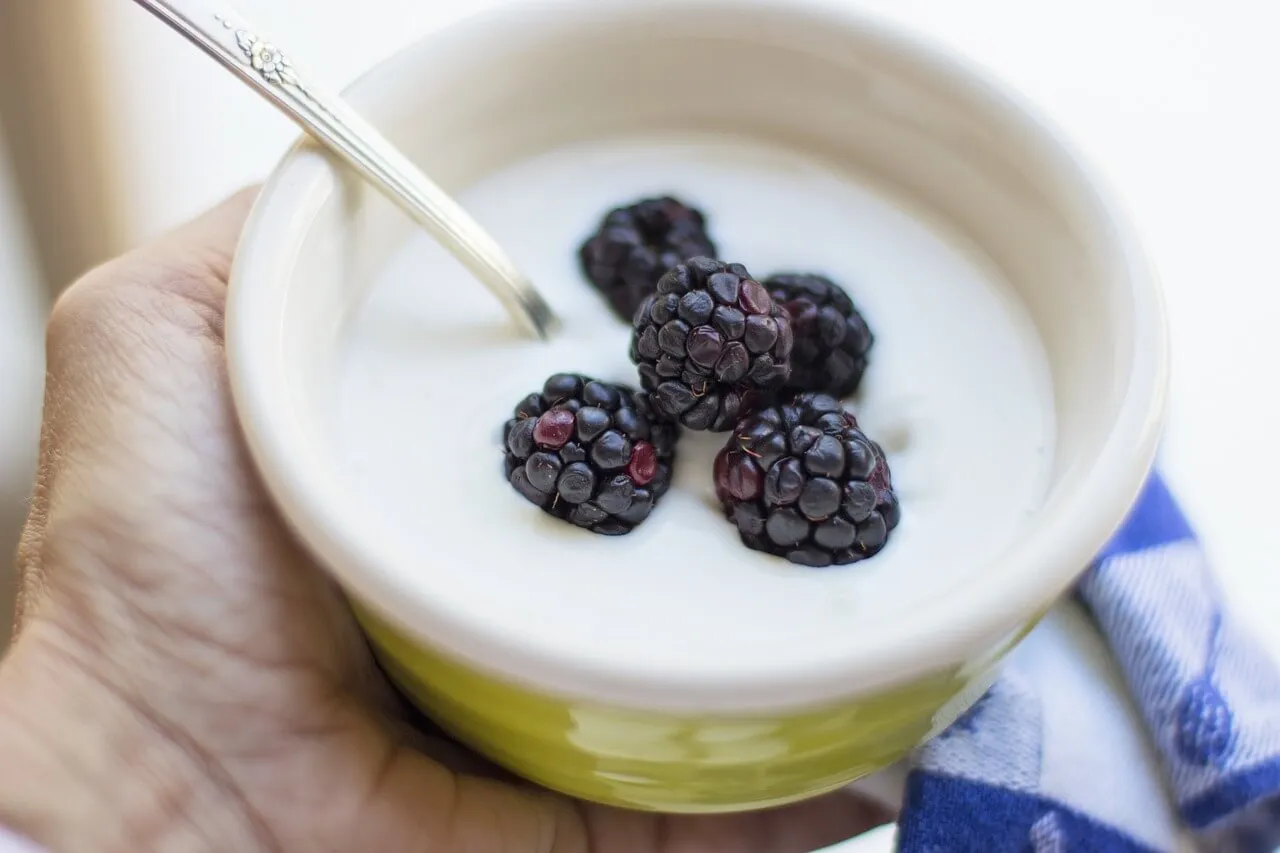 Yoghurt dengan buah blueberry di atasnya
