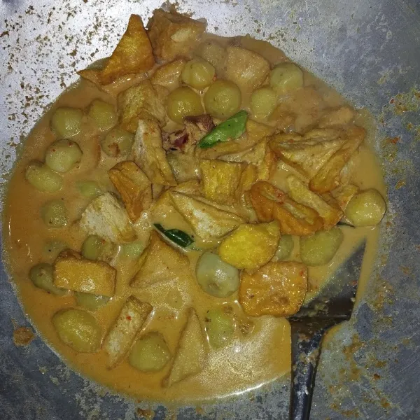 Masukkan santan. Tambahkan gula, garam, dan penyedap rasa. Koreksi rasa. Masak hingga menyusut dan bumbu meresap. Sajikan!