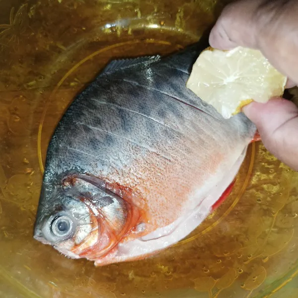 Kucuri ikan dengan jeruk nipis dan diamkan sebentar, lalu cuci bersih.