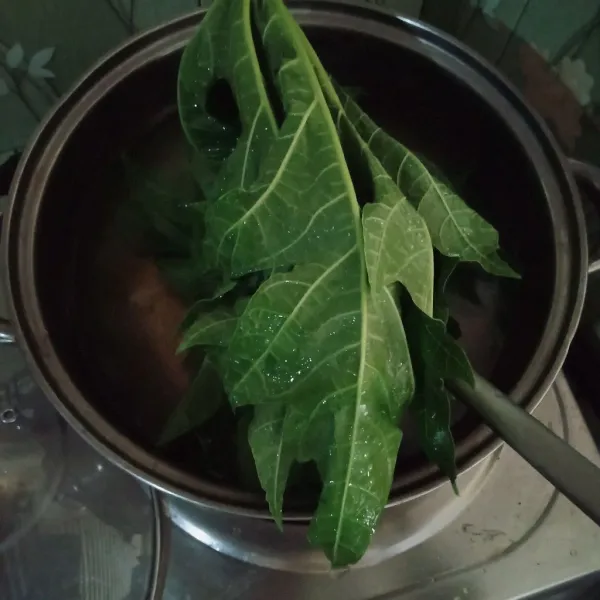 Rebus air hingga mendidih, masukkan daun pepaya.