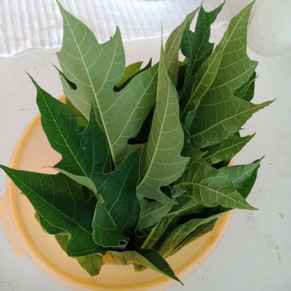 Cuci daun pepaya.