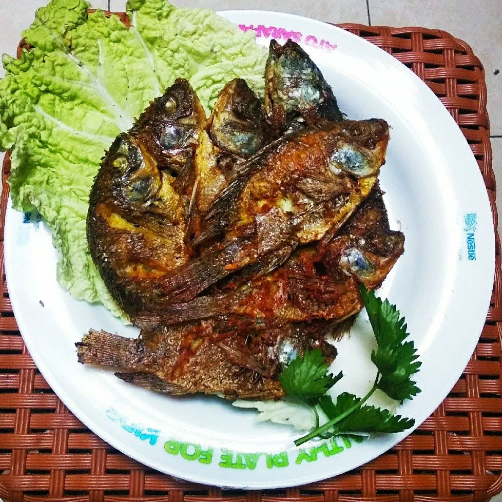 Nila Goreng Tepung