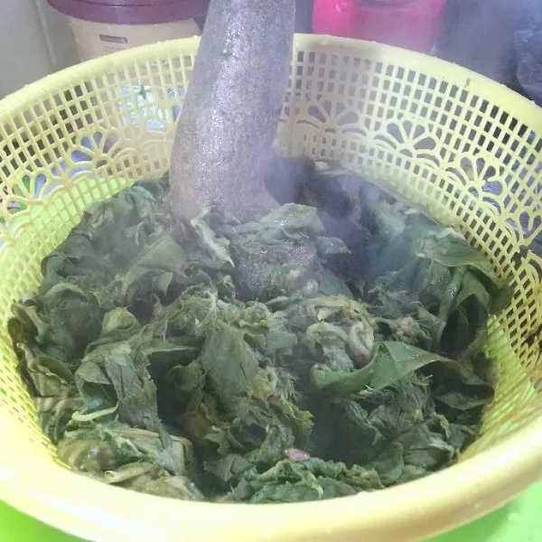Tiriskan daun talas lalu tumbuk sedikit.