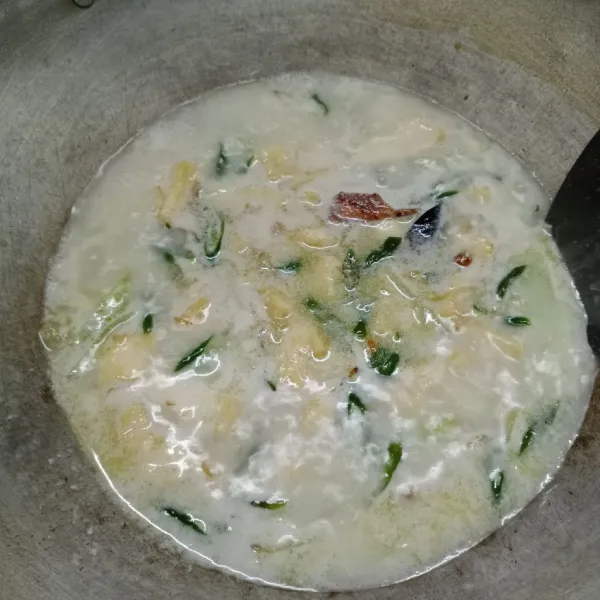 Masukkan santan instan, aduk rata. Masak sampai mendidih kembali. Cek rasa. Angkat dan sajikan.