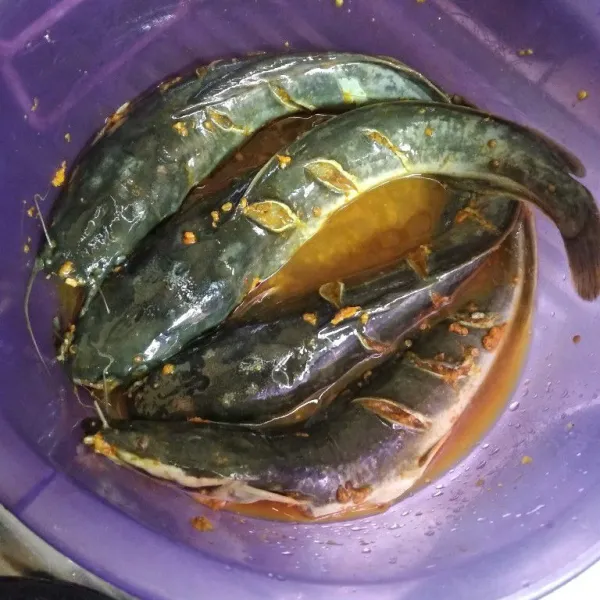 Rendam ikan dengan bumbu selama kurang lebih 5 menit.