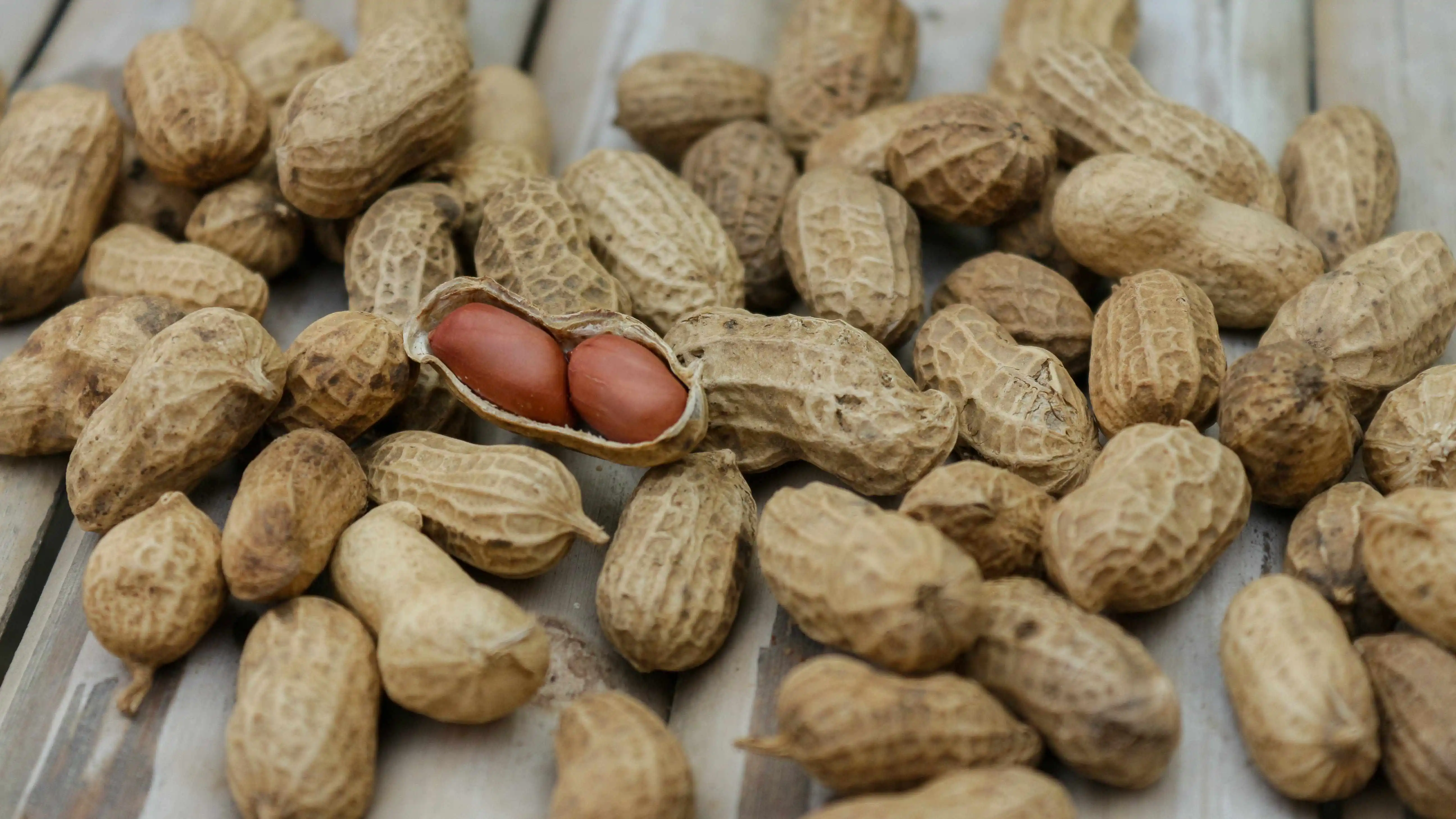 kacang tanah makanan sumber protein murah