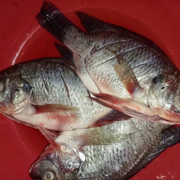 Bersihkan Ikan dari sisik dan insang kemudian cuci bersih dan garit ikan.