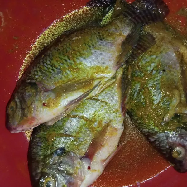 Lumuri ikan dengan bumbu soto dan air diamkan selama 15-20 menit.