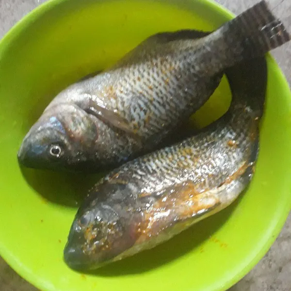Cuci bersih ikan nila. Baluri kunyit dan ketumbar bubuk.