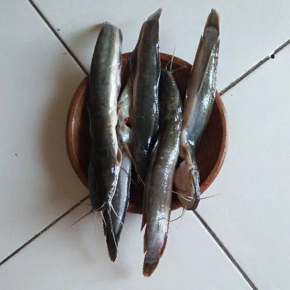 Lumuri ikan lele dengan garam dan diamkan selama 5 menit. Cuci bersih ikan lele.