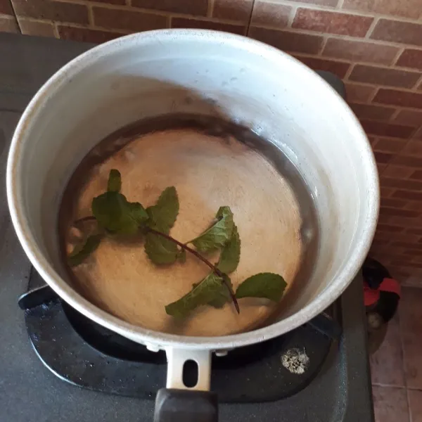 Rebus air dan daun mint hingga mendidih, sisihkan hingga dingin dan saring.