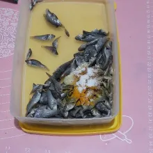 Siapkan ikan wader yang sudah dicuci dan buang kotorannya, lalu tambahkan bumbu, diamkan 15 menit.