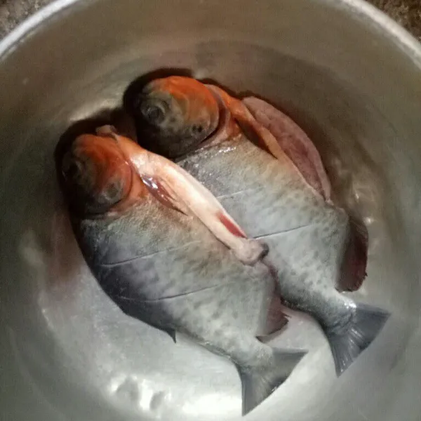 Pertama cuci bersih ikan, kerok sisiknya lalu buang insangnya.