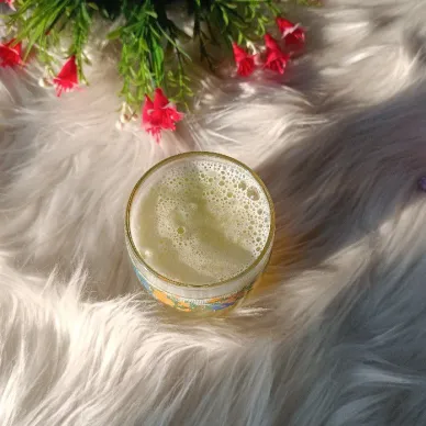 Orange Melon Fizz