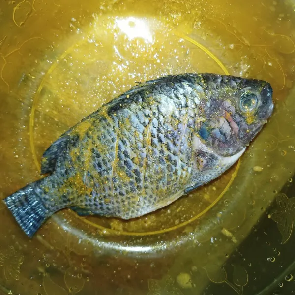 Kucuri ikan dengan jeruk nipis kemudian marinasi ikan dengan bumbu ikan goreng.