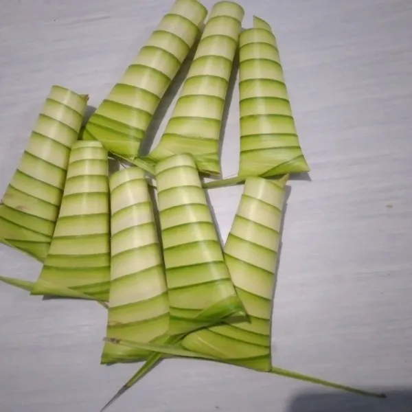 Bentuk daun kelapa menyerupai krucut yang dililitkan