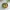 Sayur Caisim Jagung Wortel