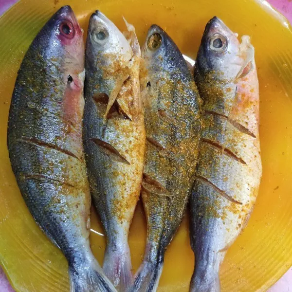 Bersihkan ikan, marinasi dengan ketumbar bubuk, kunyit bubuk, garam dan bawang putih bubuk, diamkan ±10 menit hingga bumbu meresap.