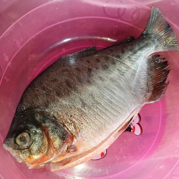 Kucuri ikan dengan jeruk nipis dan diamkan sebentar, lalu cuci bersih.