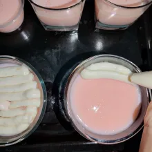Kemudian beri whipped cream di atas silky puding nya