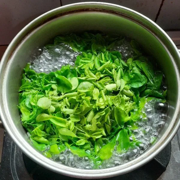 Kemudian masukkan daun kelor, garam, dan penyedap. Tes rasa, masak hingga matang matikan kompor. Sayur bening daun kelor siap disajikan.