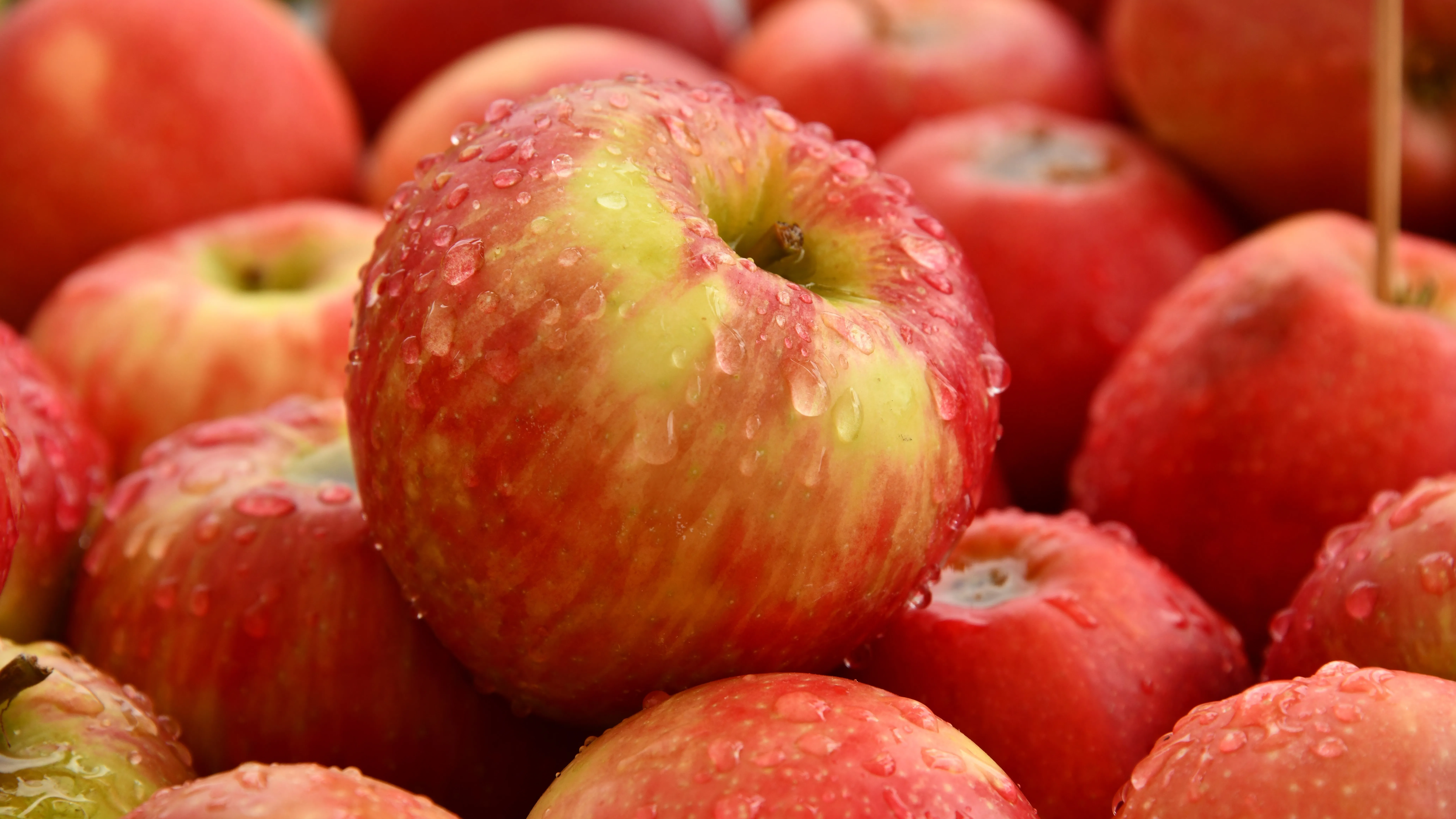 Kalori Apel, Kandungan Gizi dan Manfaat Apel