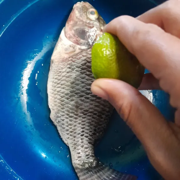Bersihkan ikan lalu kucuri dengan jeruk nipis dan garam, diamkan selama 10 menit.