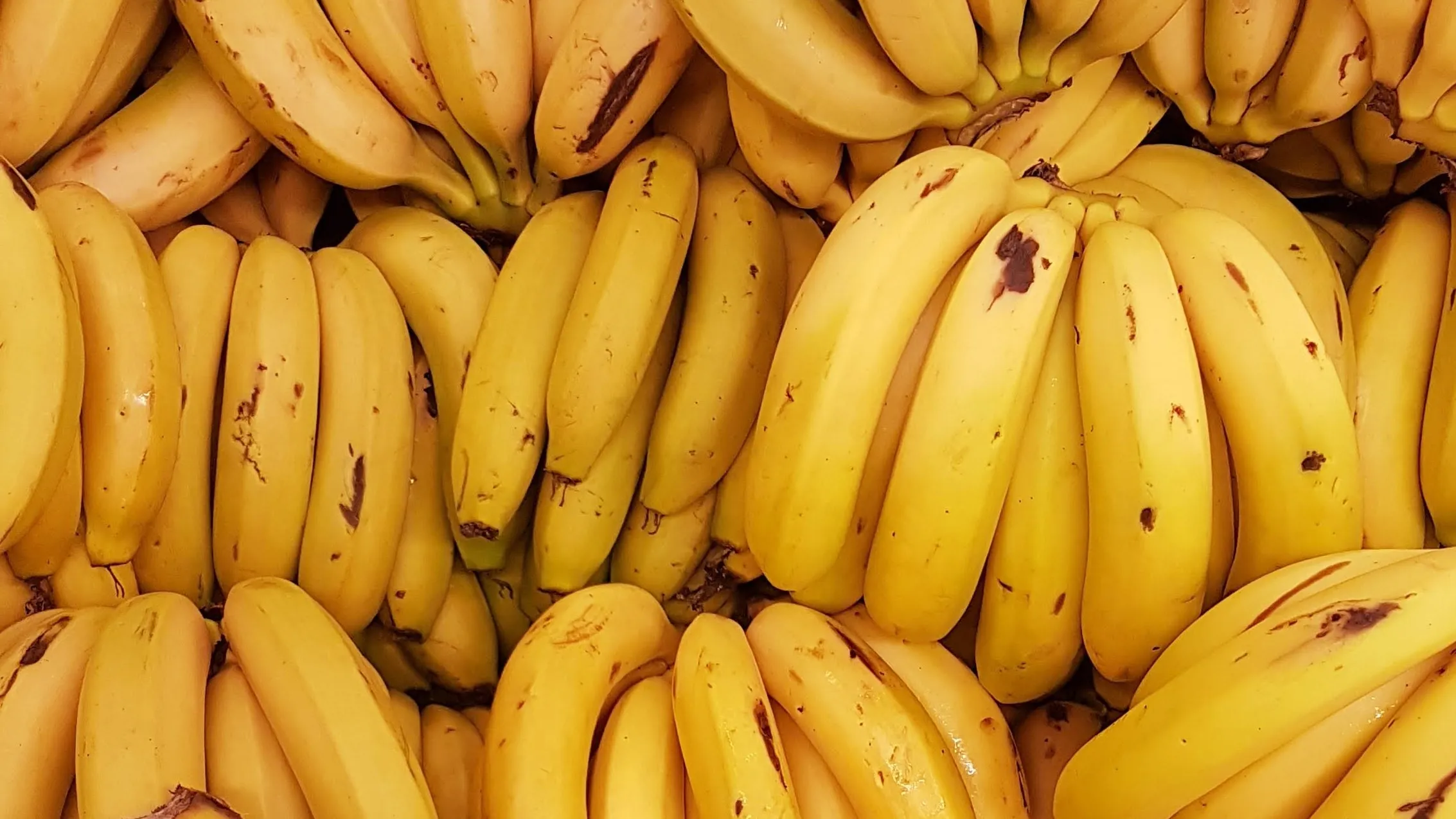 pisang untuk atasi sembelit