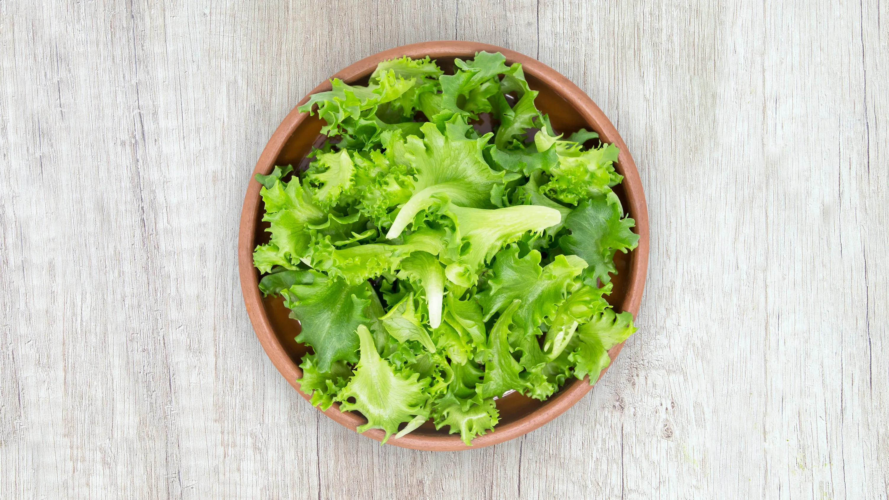 selada sayuran yang mengandung zat besi