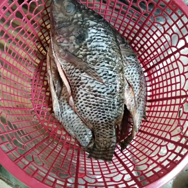 Garit-garit ikan, baluri dengan air perasan jeruk nipis. Diamkan beberapa menit lalu bilas dengan air bersih.