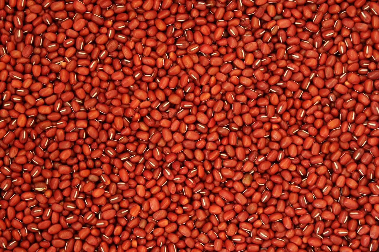 Kacang merah untuk darah rendah