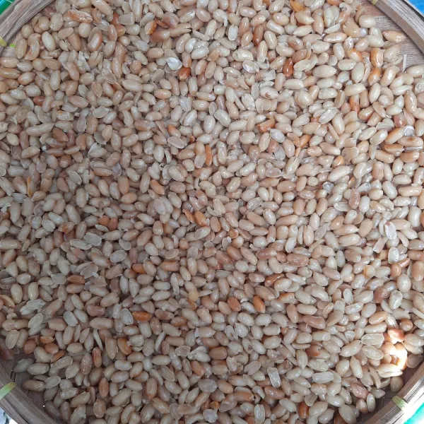 Kacang kemudian ditiriskan dan jemur hingga tidak berair lagi.