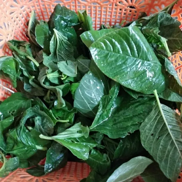Petik daun bayam, saya hanya ambil daunnya saja.