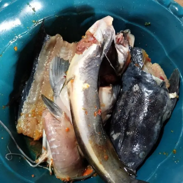 Rendam ikan lele yang sudah dibersihkan ke dalam bumbu marinasi, diamkan minimal selama 10 menit agar meresap.