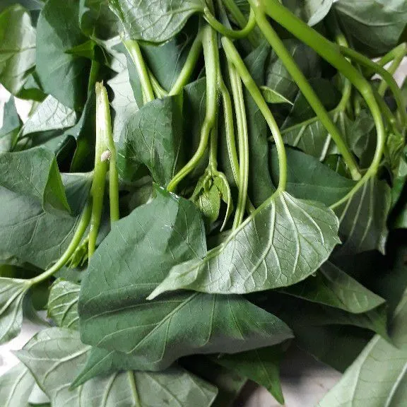Siapkan 50 gr daun ubi jalar segar.