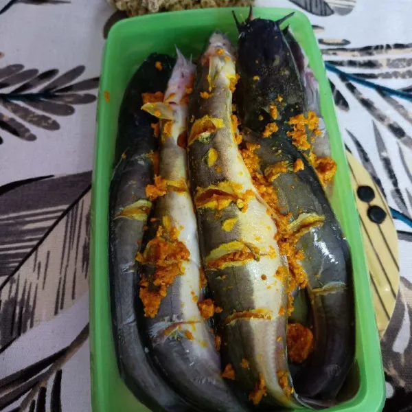 Lumuri ikan lele dengan bumbu halus,marinasi sebentar.