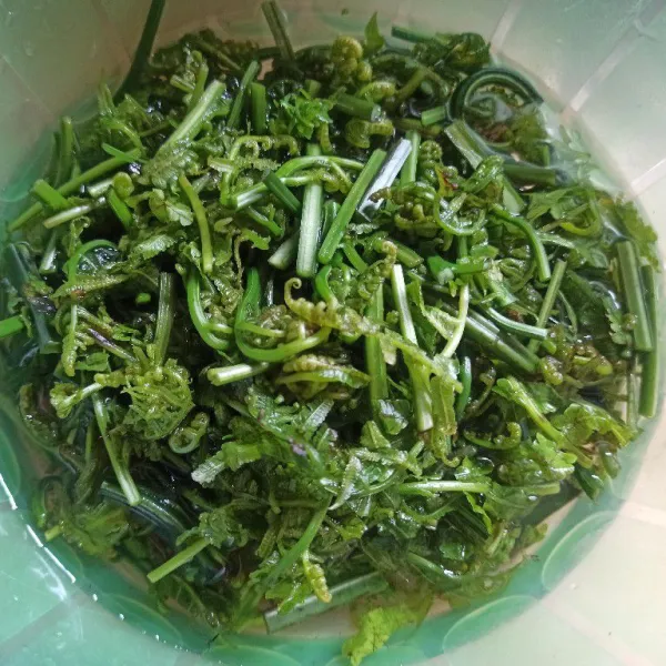 Potong-potong pakis kemudian cuci sampai bersih.