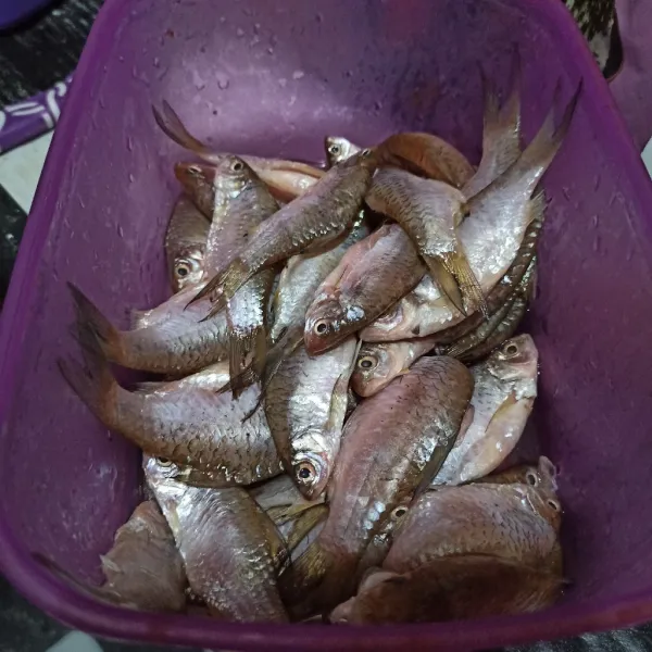 Bersihkan ikan. Cuci bersih, kucuri lemon sedikit. Sisakan air lemon untuk sambal. Kemudian bilas kembali.