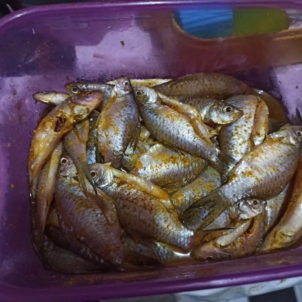 Campur ikan dengan bumbu ikan, bubuk teri, garam, chicken powder. Aduk rata, marinasi minimal 5 menit.
