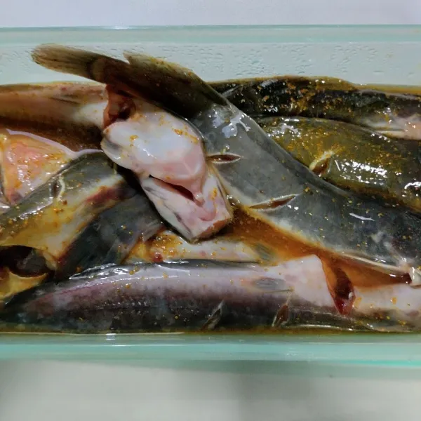 Langkah yang pertama cuci bersih ikan lele lalu marinasi dengan bumbu marinasi.