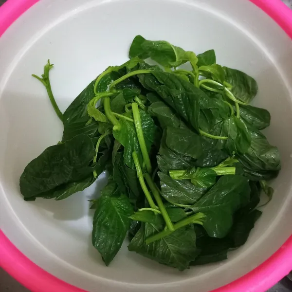Petiki daun bayam.