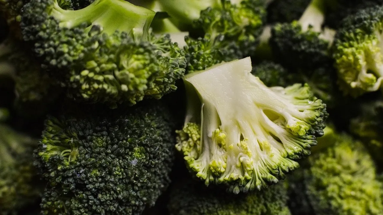 brokoli sayuran bagus untuk ibu hamil