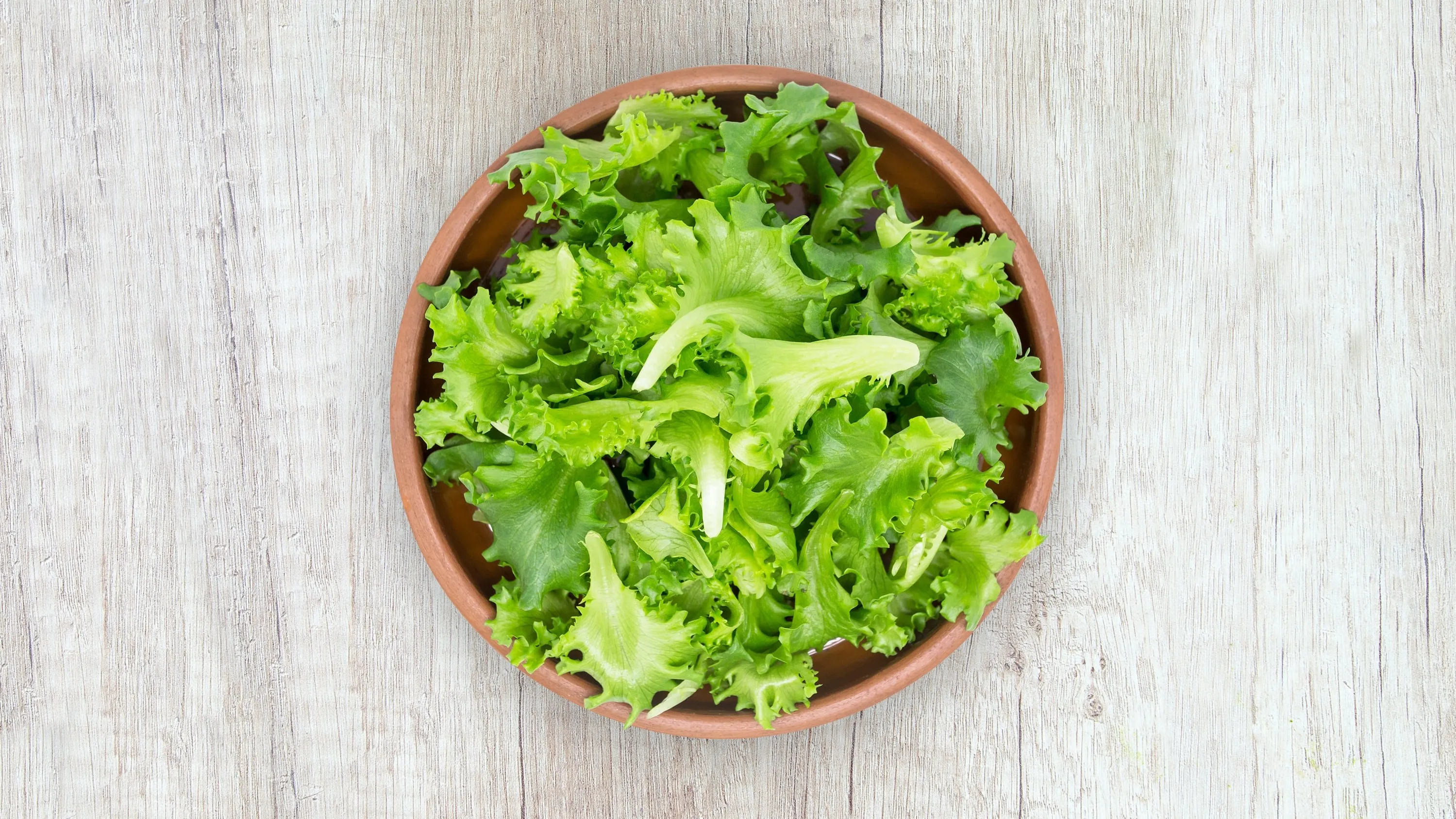 selada sayuran bagus untuk ibu hamil