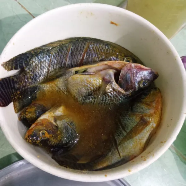 Rendam ikan mujaer dengan bumbu ikan dan air. Diamkan minimal 30 menit.