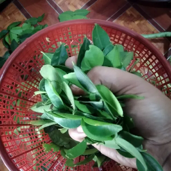 Siapkan daun jeruk, buang separuh tulang daunnya. Sisihkan.