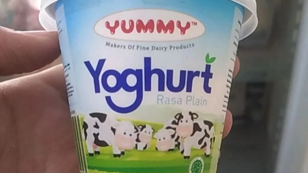 yummy yogurt yogurt untuk salad buah yang enak